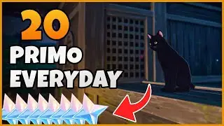 This Cat Give You Free Primogem Everyday | 2.1 Daily Freemogem