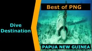 Diving Papua New Guinea,Best of PNG, Destination Spotlight for Scuba.Digital The #1 Online Dive Show