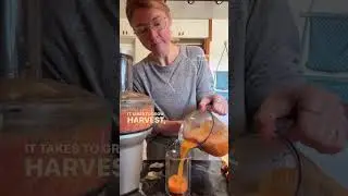Use your veggie & fruit scraps! Ideas in description 🍌 