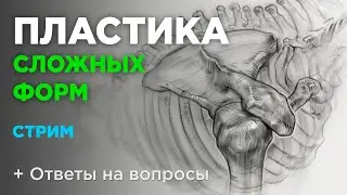 Пластика в рисунке сложных форм. Как рисовать анатомию?