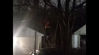 Feb 21st 2024 Madison Heights, Mi Forest Fire