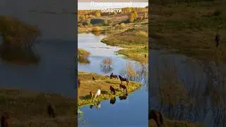 #андрейординарцев #природапрекрасна #природароссии  Природа омской области.