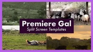 Free Premiere Pro CC Split Screen Templates Promo