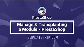 Manage & Transplanting a Module Positions - PrestaShop Help