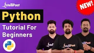 Python Tutorial | Python for Beginners | Python Full Course | Python Crash Course | Intellipaat