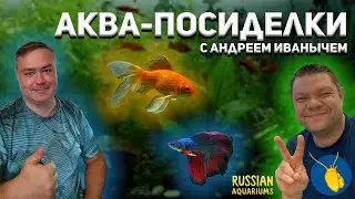 Про аквариумистику, разводни и клуб. Андрей Иваныч. Русские аквариумы