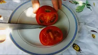 КАК НАТОЧИТЬ НОЖИ / САМЫЙ ПРОСТОЙ И БЫСТРЫЙ СПОСОБ