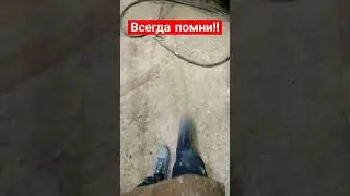 #мудрые