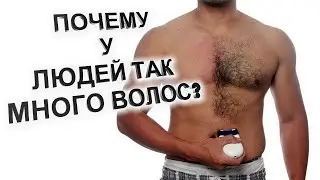 ПОЧЕМУ У ЛЮДЕЙ ТАК МНОГО ВОЛОС? Неужели все наше тело покрыто волосами?