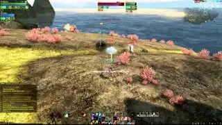 Archeage PVP - Следопыт 50 lvl - сервер Анна