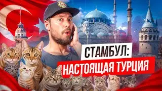 СТАМБУЛ - главный город Турции | Безумные цены, толпы туристов и впечатления на всю жизнь