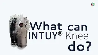 Intuy Knee - A Motorized Knee Prosthesis