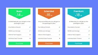 Responsive Pricing Table using HTML & CSS