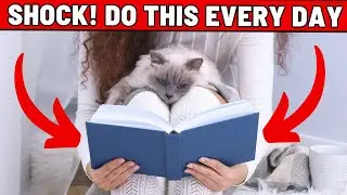 15 Things You Do That Your Cat Actually Loves😻 (MAKE THEM HAPPY)