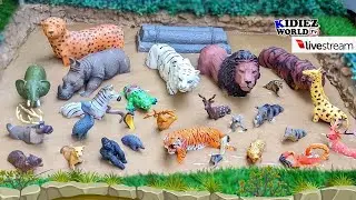 Meet the Savanna's Secret Stars Amazing African Safari Animals You've Never Heard Of