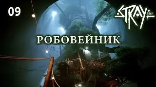 Stray #09 - Робовейник