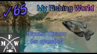 65)My Fishing World Чёрный краппи без прилова!?