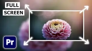 How to View Full Screen Preview In Premiere Pro || Premiere Pro Full Screen Preview