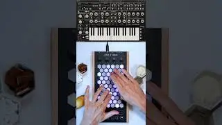 Exquis -  @GForceSoftware   @Oberheim  OB-1 "Tuning Required" #keys #synth #vst #midi #mpe #keyboard