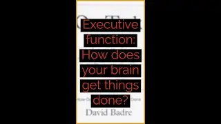 ❓ Executive function: How does your brain get things done?❓
