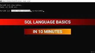 The Bare Minimum SQL Langauge Basics You Need To Know For SQL Injection (In 10 Minutes)