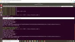 HTTP Status Codes 200 vs 202 vs 204 When to Use ?