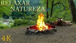 Som da Natureza para Relaxar - Vídeo 4K com Sons da Floresta, Riacho e Fogueira - Dormir, Meditar