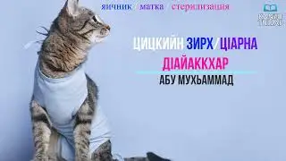 342.ᴴᴰ┇Цицкийн зирх/цIарна дIайаккхар | Абу Мухьаммад.