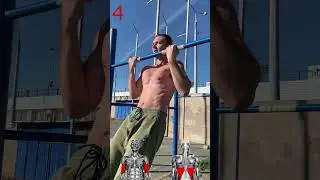 Types of pull-ups and grips. What muscles are working?