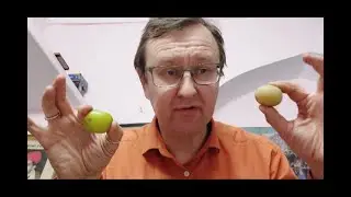 Ещё неизвестные факты об Амалаки