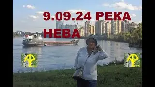 9 09 24 Берег Невы  Лето продолжается