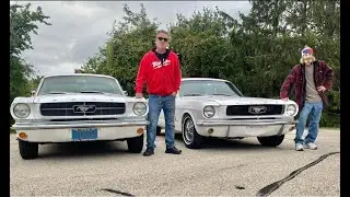 Another Mustang?  My Brother's 1966 i6 Project