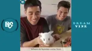 Король монтажа Зак Кинг