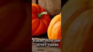 Какие болезни лечит тыква?