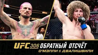 UFC 306 Обратный отсчет - О'Мэлли vs Двалишвили