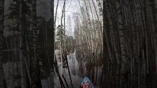 Такое возможно увидеть только по большой воде 