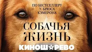 КИНОШАРЕВО. Собачья жизнь