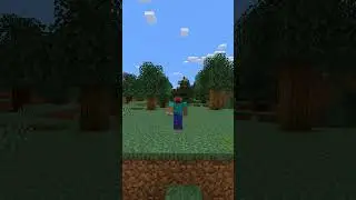 I quit being a furry Minecraft Meme 