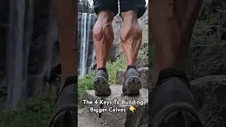 The 4 Keys To Building Bigger Calves