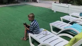 Даня ловит котят