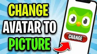 How to Change Profile Picture From Avatar to Picture on Duolingo (2024)