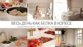 ВЕСЬ ДЕНЬ В ДЕЛАХ / ВКУСНЫЙ УЖИН / ПРОДОЛЖАЕМ РЕМОНТ / МНОГО КЛУБНИКИ