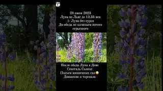 #астропрогноз23июня