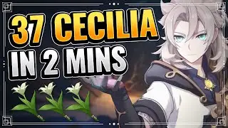 BEST LOCATIONS Cecilia Farming Route (FAST AND EFFICIENT!) | Genshin Impact F2P Farming