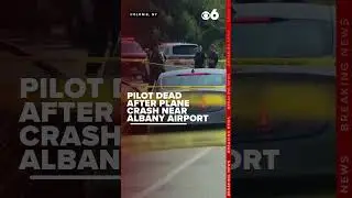 Pilot killed after plane crash near Albany Airport