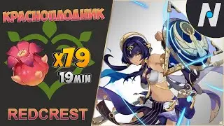 ВСЕ КРАСНОПЛОДНИКИ - ЛУЧШИЙ Маршрут Сбора | GENSHIN IMPACT