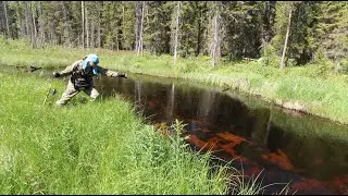 РЫБА ЕСТЬ. Рыбалка на малой реке. Ультралайт на таёжной речке. Рыбалка на севере. Супер результат!