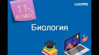Биология. 11 класс. Механизм транслокации веществ у растений /09.10.2020/
