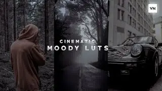 Cinematic  Lut Pack For Vn Video Editor | Vn Lut | Vn preset