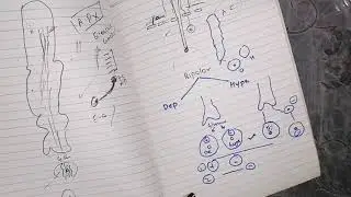 Function of Horizontal, bipolar, amacrine, ganglionic cells, guyton 51 last part (8),